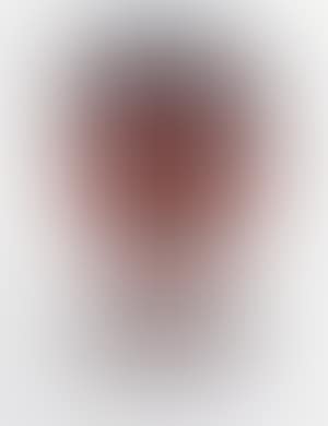 Untitled, from Andy Warhol, 32 Campbell's soup (preview)
