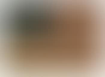 American flag (preview)