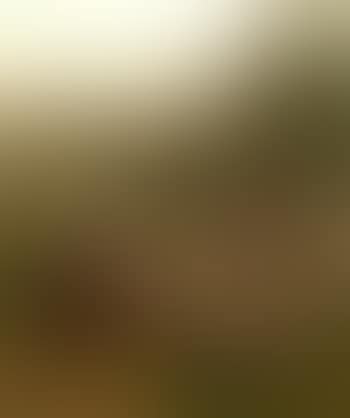 River landscape with sheep grazing and shepherd talking to woman (preview)