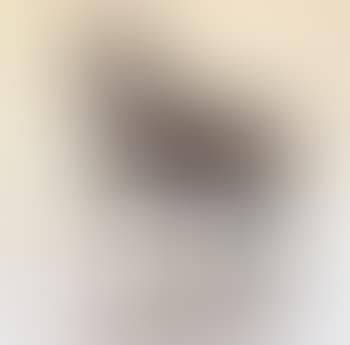 Standing horse (preview)