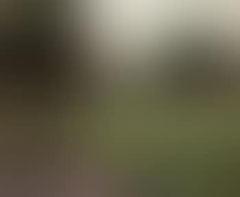 Firle Park (preview)