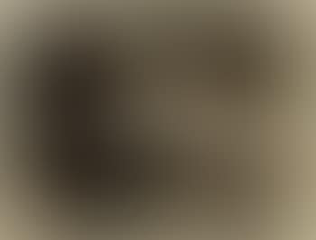 Nature morte II (preview)