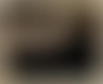 Nature morte III (preview)