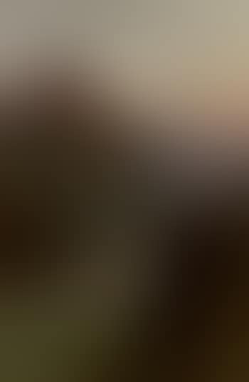 Evening, the slopes of Ben Nevis. Ben Tigh (preview)