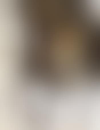 Figure (preview)