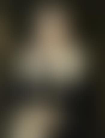 Portrait of a lady, three quarter length, with a coral necklace (preview)