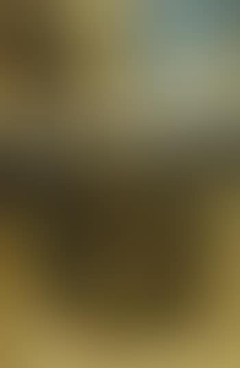 Landscape (preview)
