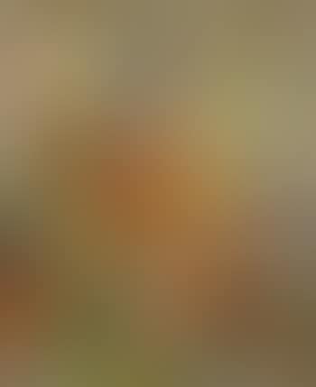 Autumn flowers (preview)