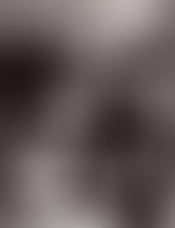 Study on Voyeurism II, Los Angeles (preview)
