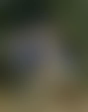 Harem scene (preview)