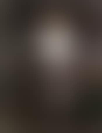 Lady at her toilet (preview)