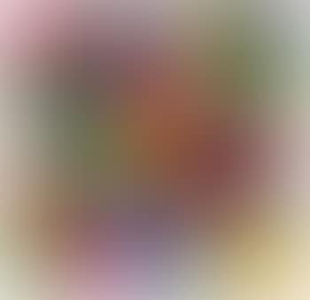 The person and the personality (preview)