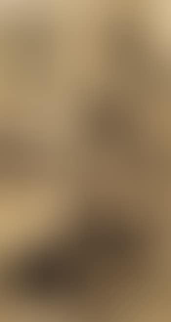 Landscape (preview)