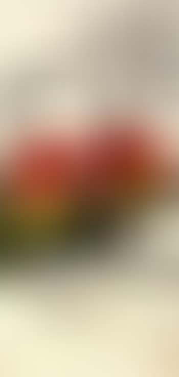Wine for 100th birthday (preview)