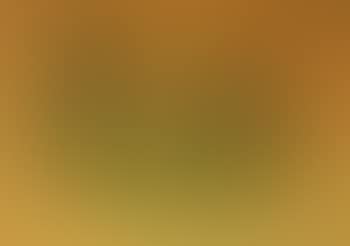 Orange background (preview)