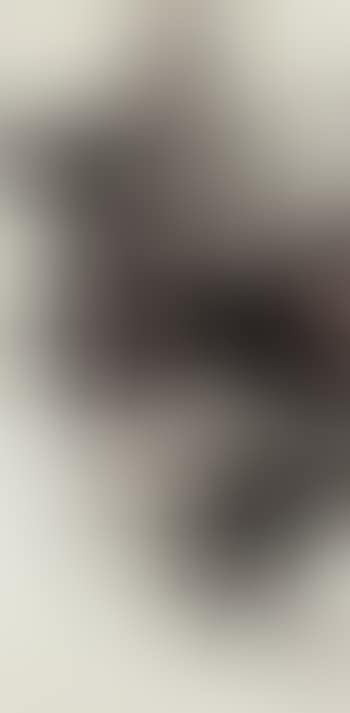 Peas and crickets (preview)