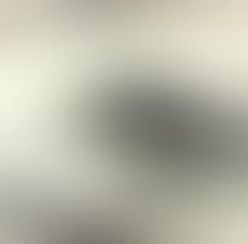 Landscapes (preview)