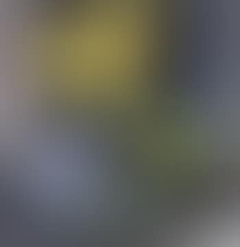 Still life (preview)