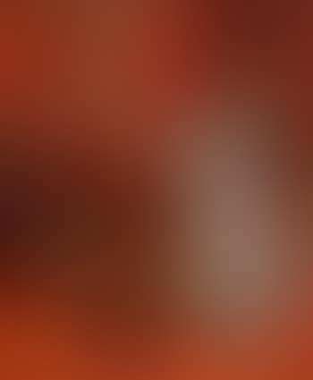 Still life (preview)