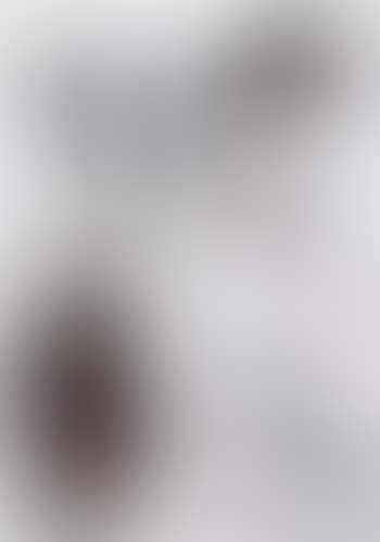 Personnage (preview)