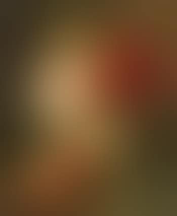 Vase de fleurs (preview)