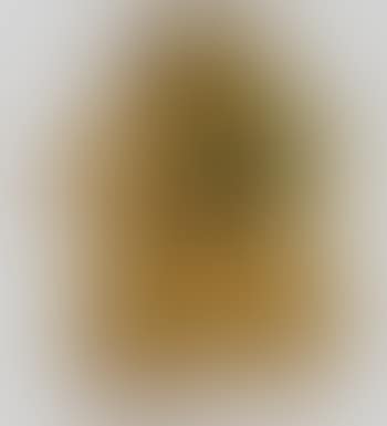 Tattooed pig skin (preview)