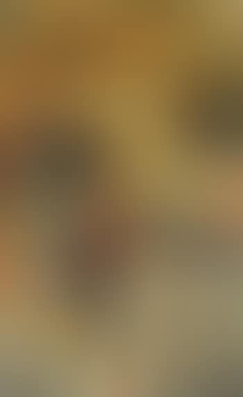 Still life (preview)