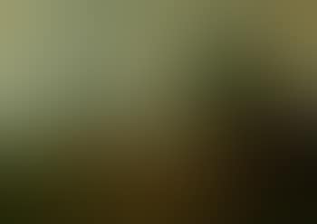 Farmyard with chickens (preview)
