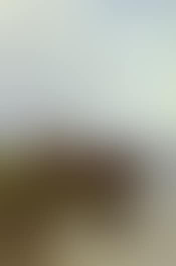 Herdress with sheep and cattle drinking from lake (preview)
