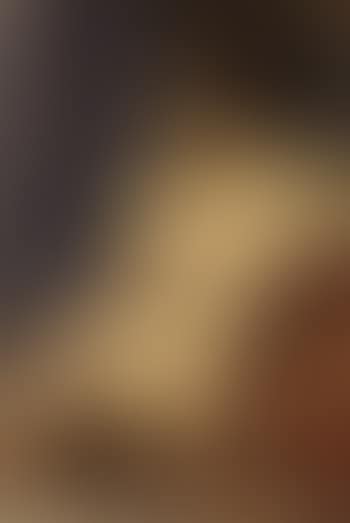 Female nude (preview)