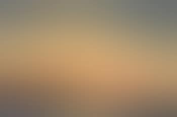 Golden Horn, moonlight (preview)