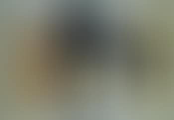 Nature morte a la guitare (preview)