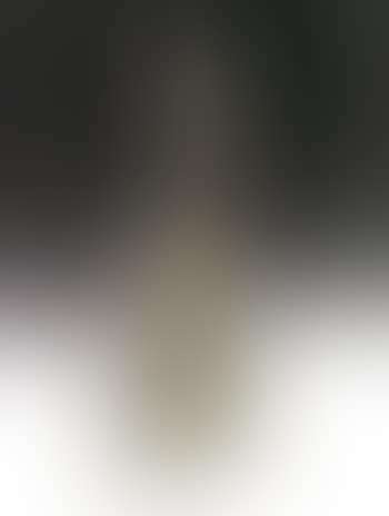 Bust (preview)