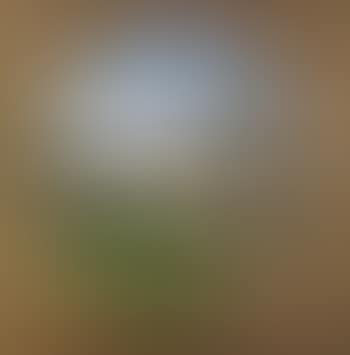 Gallegan scene (preview)