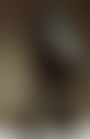 Personnage (preview)