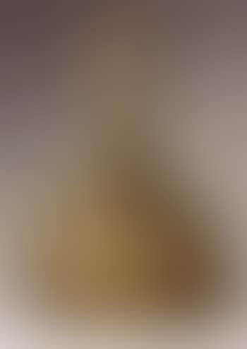 Buste de Diego (preview)