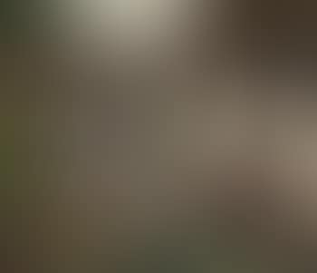 The gardener's flowers - grandmother and child by flowerbed (preview)