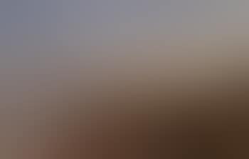 Coastal road with the old Tipperup Mill (preview)