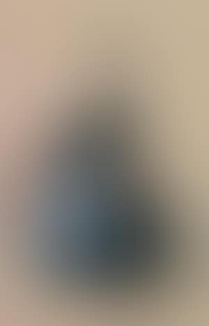 Elegant lady seated on chair (preview)