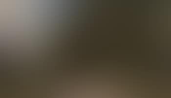 Wooded landscape with birch trees by country road (preview)