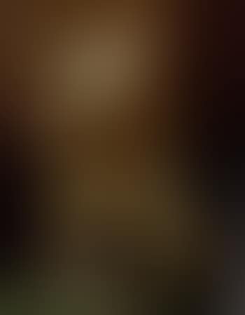 Two dogs annoying parrot on stand (preview)