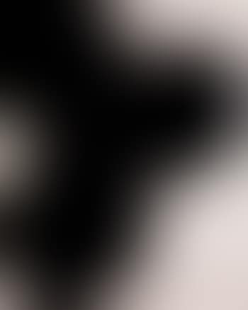 Black lemons and egg (preview)