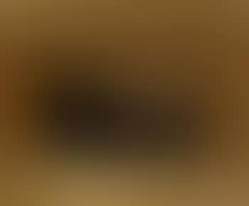 Sunset landscape (preview)