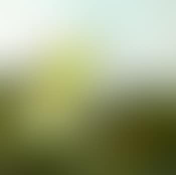 Nebuchadnezzar (preview)