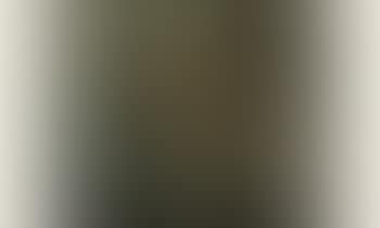 Paysage (preview)