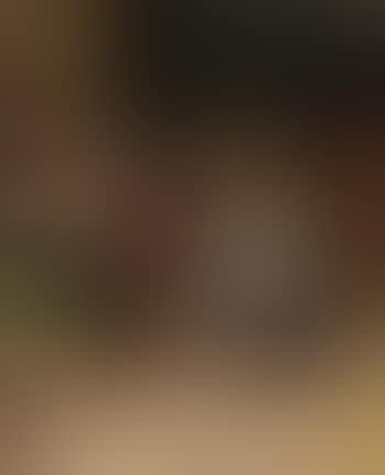 Dachshund playing (preview)