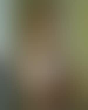 Femme aux bras croises (preview)