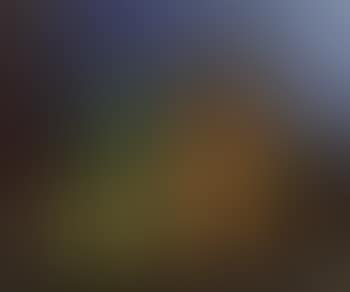 Nature morte au panier de fruits (preview)