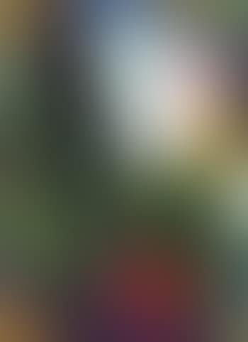 Variation (preview)