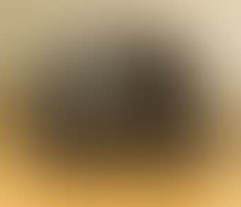 Tete (preview)